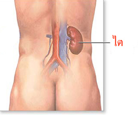 อาการโรคไต ที่ควรรู้ไว้