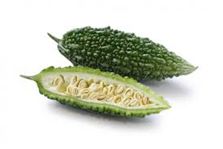 สมุนไพรรักษาโรคไต เห็ดหลินจือเป็นทางเลือกของการรักษา